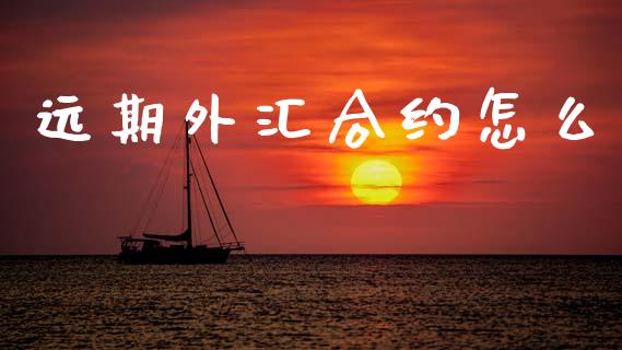 远期外汇合约怎么_https://cj002.lansai.wang_财经问答_第1张
