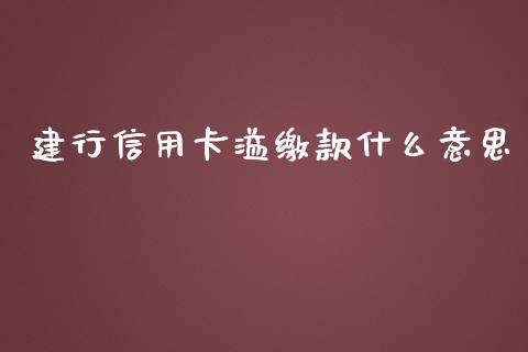 建行信用卡溢缴款什么意思_https://cj002.lansai.wang_会计问答_第1张