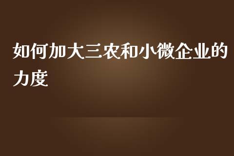 如何加大三农和小微企业的力度_https://cj002.lansai.wang_期货问答_第1张