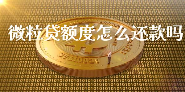 微粒贷额度怎么还款吗_https://cj002.lansai.wang_理财问答_第1张