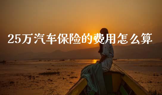 25万汽车保险的费用怎么算_https://cj002.lansai.wang_期货问答_第1张