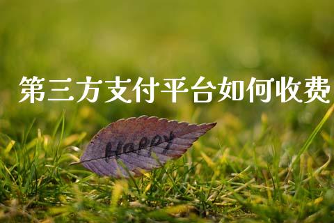 第三方支付平台如何收费_https://cj002.lansai.wang_期货问答_第1张