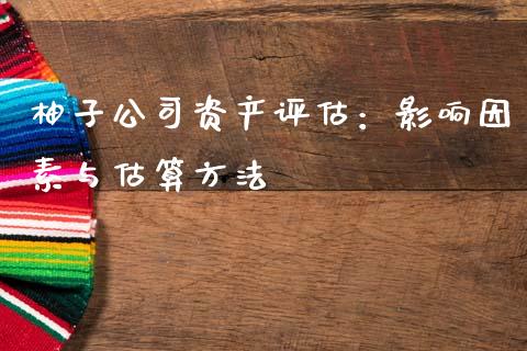 柚子公司资产评估：影响因素与估算方法_https://cj002.lansai.wang_理财问答_第1张