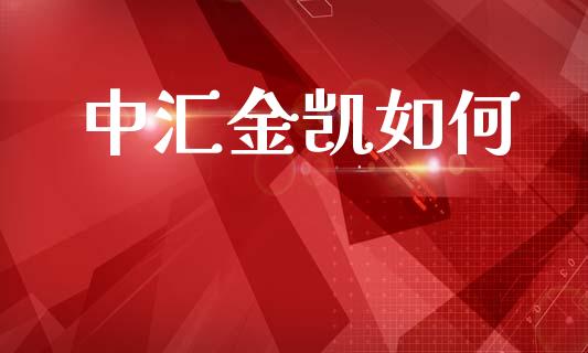 中汇金凯如何_https://cj002.lansai.wang_期货问答_第1张