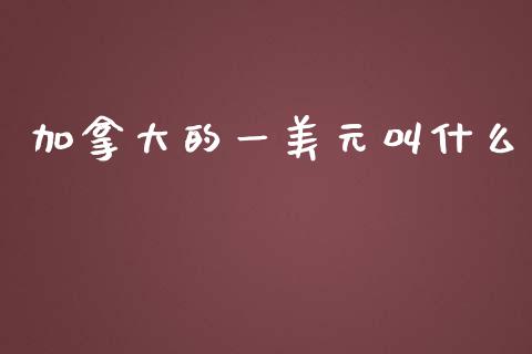 加拿大的一美元叫什么_https://cj002.lansai.wang_财经问答_第1张