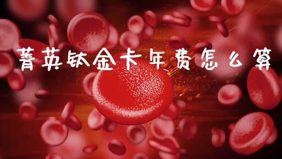 菁英钛金卡年费怎么算_https://cj002.lansai.wang_金融问答_第1张