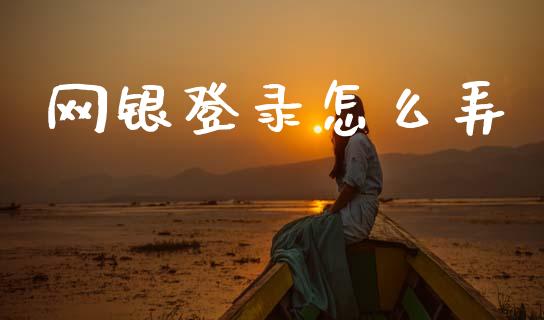 网银登录怎么弄_https://cj002.lansai.wang_金融问答_第1张