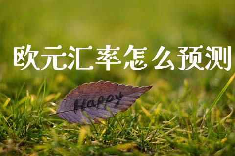 欧元汇率怎么预测_https://cj002.lansai.wang_财经问答_第1张