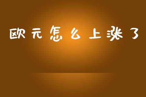 欧元怎么上涨了_https://cj002.lansai.wang_财经问答_第1张