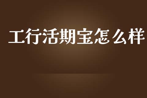 工行活期宝怎么样_https://cj002.lansai.wang_股市问答_第1张