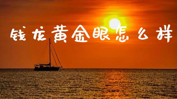 钱龙黄金眼怎么样_https://cj002.lansai.wang_财经问答_第1张