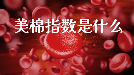 美棉指数是什么_财经问答_第1张_财经百问网 美棉指数是什么_https://cj002.lansai.wang_财经问答_第1张
