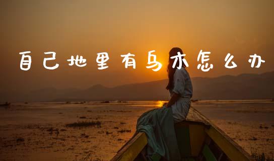 自己地里有乌木怎么办_https://cj002.lansai.wang_理财问答_第1张