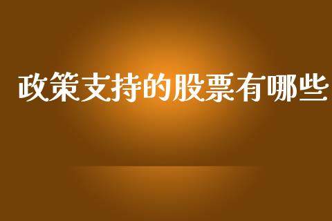 政策支持的股票有哪些_https://cj002.lansai.wang_股市问答_第1张