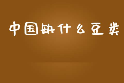 中国缺什么豆类_https://cj002.lansai.wang_金融问答_第1张