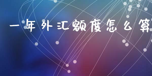一年外汇额度怎么算_https://cj002.lansai.wang_财经问答_第1张