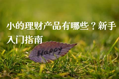 小的理财产品有哪些？新手入门指南_https://cj002.lansai.wang_金融问答_第1张