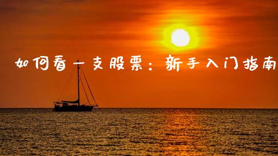 如何看一支股票：新手入门指南_https://cj002.lansai.wang_财经问答_第1张