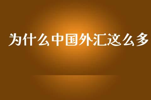 为什么中国外汇这么多_https://cj002.lansai.wang_财经问答_第1张