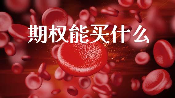 期权能买什么_https://cj002.lansai.wang_期货问答_第1张