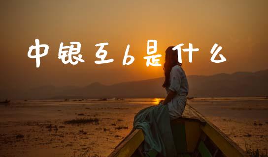 中银互b是什么_https://cj002.lansai.wang_财经百问_第1张