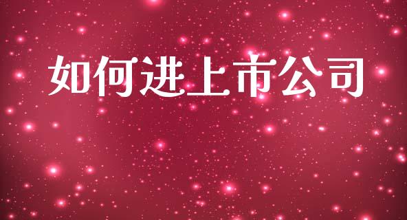 如何进上市公司_https://cj002.lansai.wang_财经问答_第1张