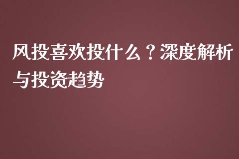 风投喜欢投什么？深度解析与投资趋势_https://cj002.lansai.wang_股市问答_第1张