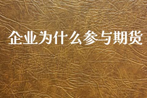 企业为什么参与期货_https://cj002.lansai.wang_会计问答_第1张