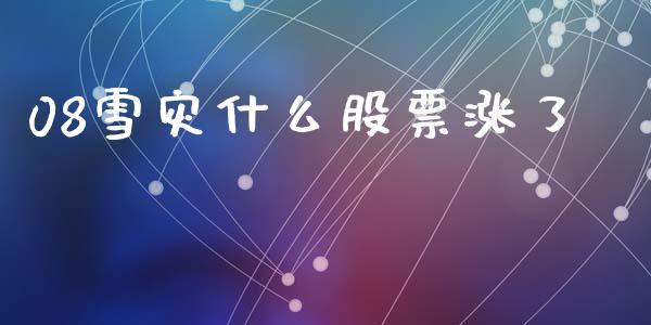 08雪灾什么股票涨了_https://cj002.lansai.wang_财经问答_第1张