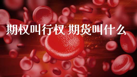 期权叫行权 期货叫什么_https://cj002.lansai.wang_期货问答_第1张