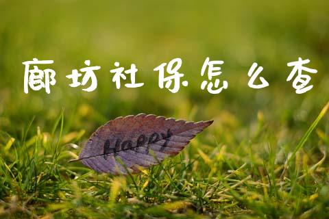 廊坊社保怎么查_https://cj002.lansai.wang_保险问答_第1张