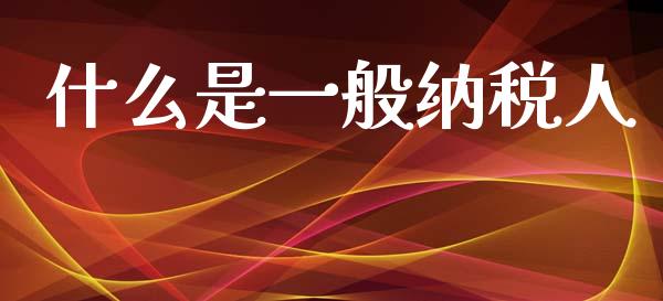 什么是一般纳税人_https://cj002.lansai.wang_会计问答_第1张