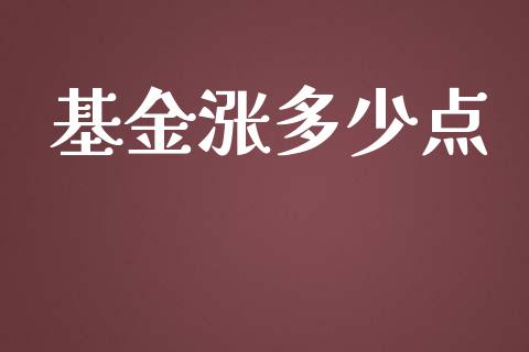 基金涨多少点_https://cj002.lansai.wang_期货问答_第1张
