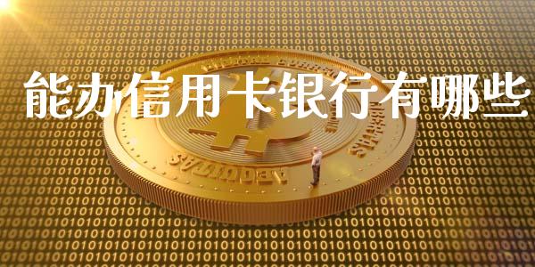 能办信用卡银行有哪些_https://cj002.lansai.wang_理财问答_第1张