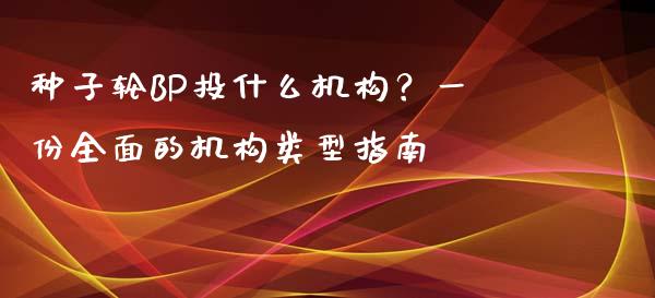 种子轮BP投什么机构？一份全面的机构类型指南_https://cj002.lansai.wang_理财问答_第1张