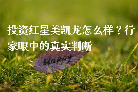 投资红星美凯龙怎么样？行家眼中的真实判断_https://cj002.lansai.wang_财经百问_第1张