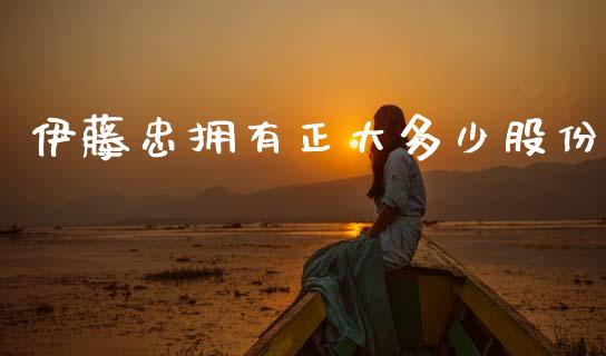 伊藤忠拥有正大多少股份_https://cj002.lansai.wang_金融问答_第1张