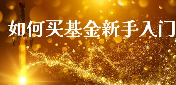 如何买基金新手入门_https://cj002.lansai.wang_财经问答_第1张