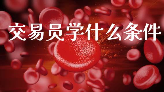 交易员学什么条件_https://cj002.lansai.wang_期货问答_第1张