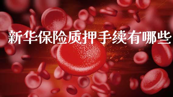 新华保险质押手续有哪些_https://cj002.lansai.wang_期货问答_第1张