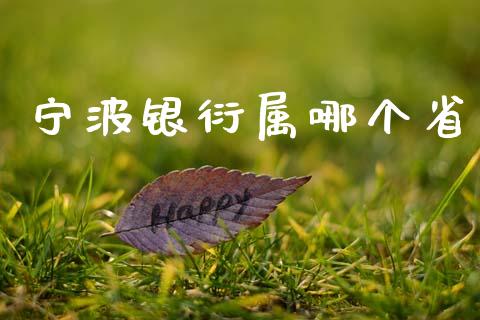 宁波银衍属哪个省_https://cj002.lansai.wang_股市问答_第1张