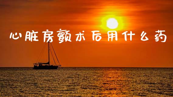 心脏房颤术后用什么药_会计问答_第1张_财经百问网 心脏房颤术后用什么药_https://cj002.lansai.wang_会计问答_第1张