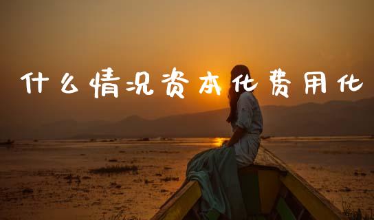 什么情况资本化费用化_https://cj002.lansai.wang_会计问答_第1张