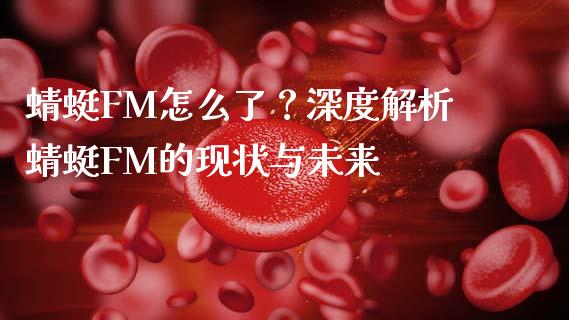 蜻蜓FM怎么了？深度解析蜻蜓FM的现状与未来_https://cj002.lansai.wang_理财问答_第1张