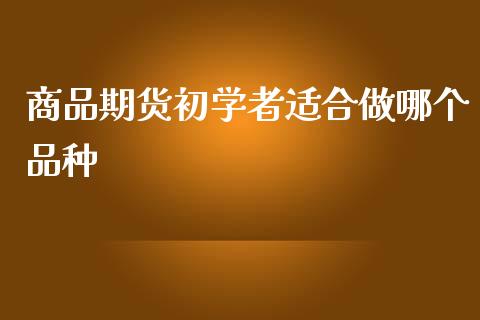 商品期货初学者适合做哪个品种_https://cj002.lansai.wang_股市问答_第1张