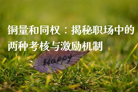 铜量和同权：揭秘职场中的两种考核与激励机制_https://cj002.lansai.wang_理财问答_第1张