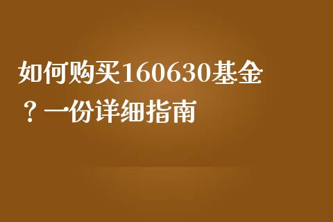 如何购买160630基金？一份详细指南_https://cj002.lansai.wang_金融问答_第1张