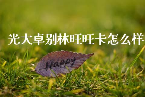 光大卓别林旺旺卡怎么样_https://cj002.lansai.wang_金融问答_第1张