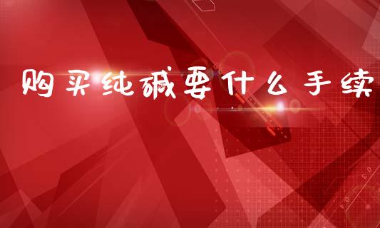 购买纯碱要什么手续_会计问答_第1张_财经百问网 购买纯碱要什么手续_https://cj002.lansai.wang_会计问答_第1张