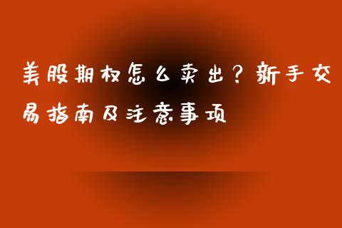 美股期权怎么卖出？新手交易指南及注意事项_https://cj002.lansai.wang_财经问答_第1张
